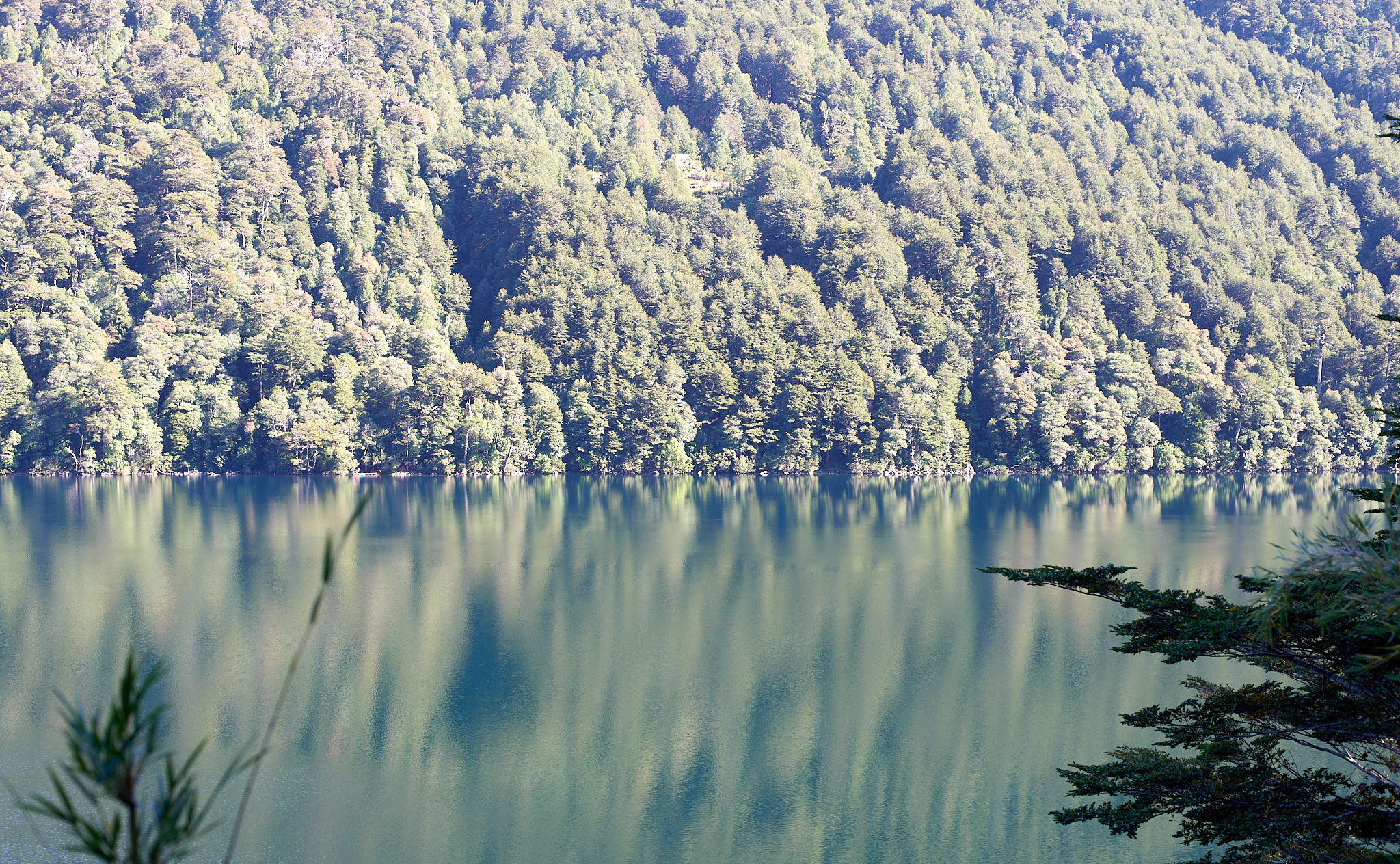 20200317 867 [칠레] 푸콘 우에르케우에 국립공원 트레킹